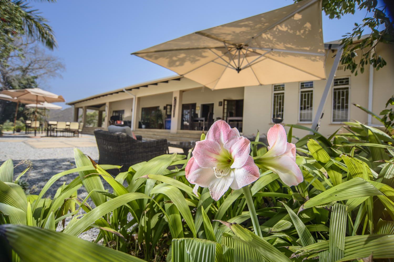 The lodge from its garden