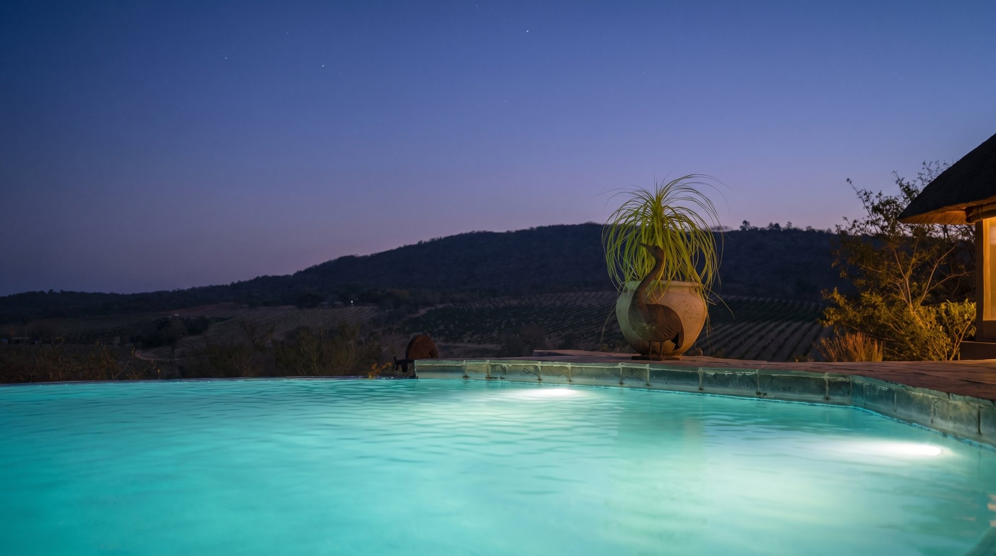 The heated infinity pool glowing at dusk above the valley